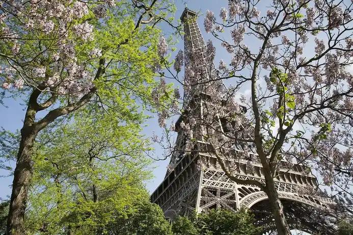 Paris'te Eiffel Kulesi (Fransa)