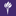 New York University (NYU) logosu